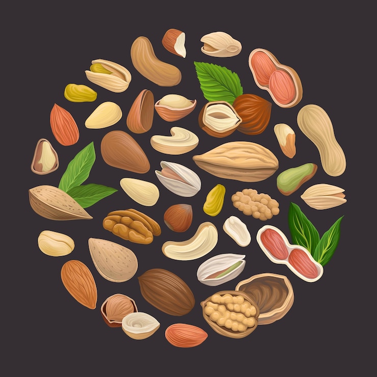 Vector nueces con anacardo y almendra dispuestas en una plantilla de vector de círculo