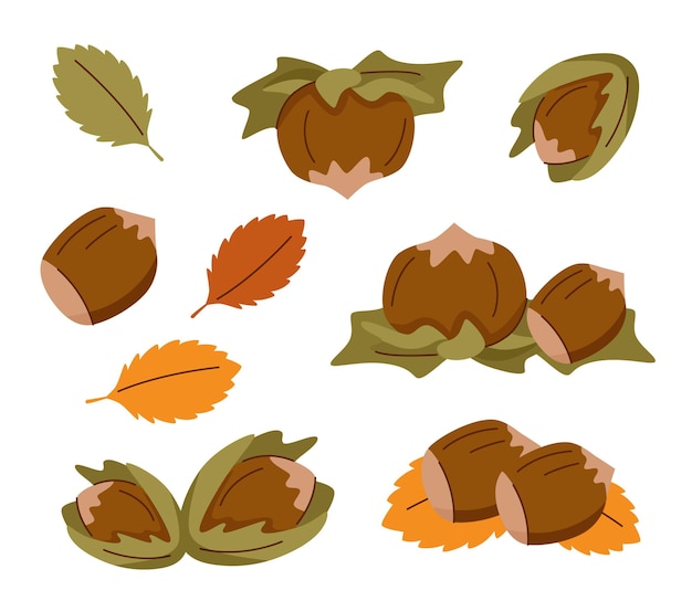 Nueces de avellana