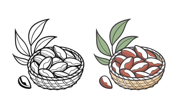 Nueces de Brasil en una canasta con hojas