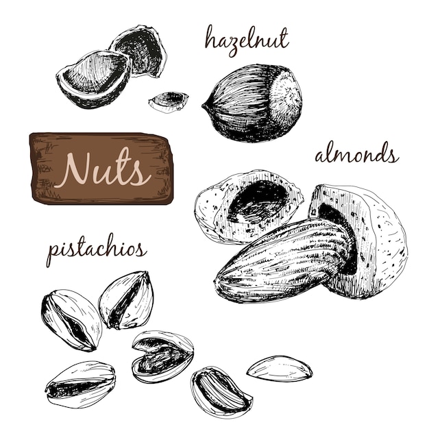 Nueces. Conjunto de ilustraciones.