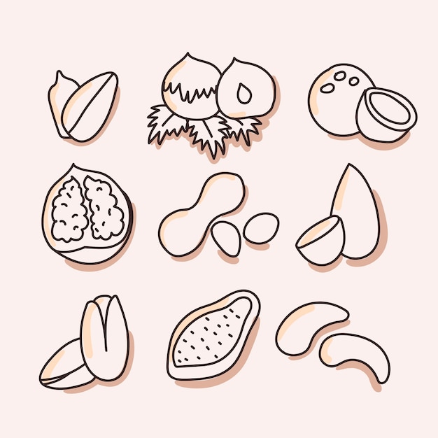 Vector nueces, frutos secos conjunto de icono. dibujar a mano