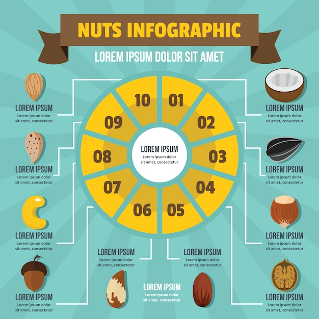 Vector nueces infografía, estilo plano.