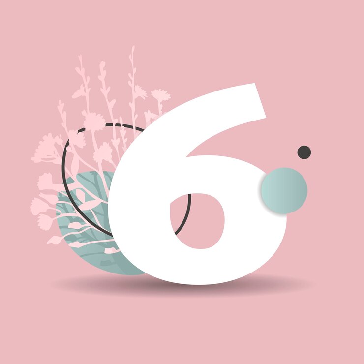 Vector número 6 seis decoración floral impresión de póster diseño de tarjeta adhesiva estilo moderno moderno y sencillo