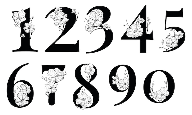 número flor floral fuente colección dibujada a mano