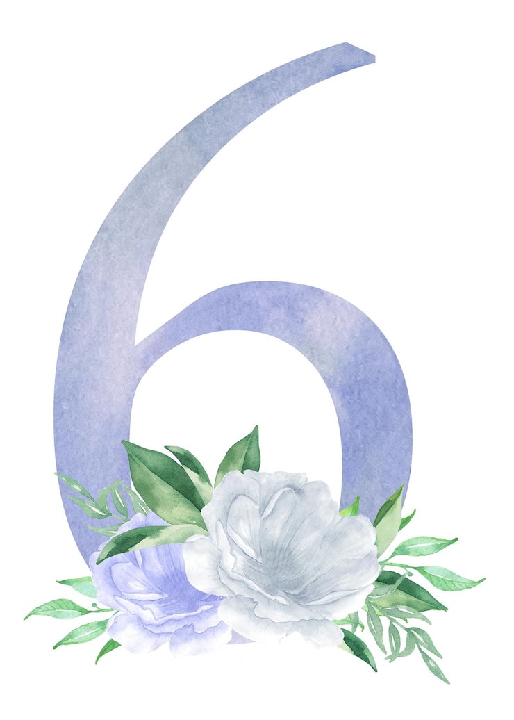 Vector número floral dígito 6 seis con composición de ramo de flores