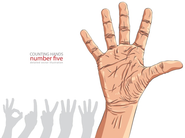 Números signos de mano conjunto número cinco ilustración vectorial detallada