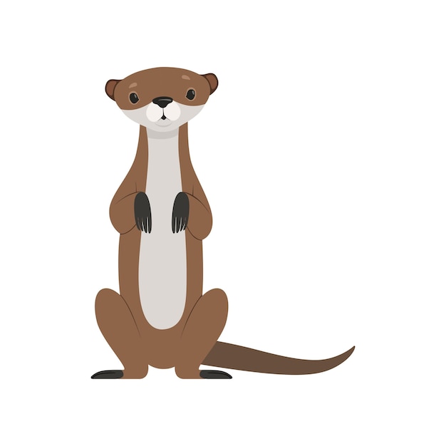 Nutria linda sentada vector de vista frontal de carácter animal divertido ilustración aislada sobre fondo blanco
