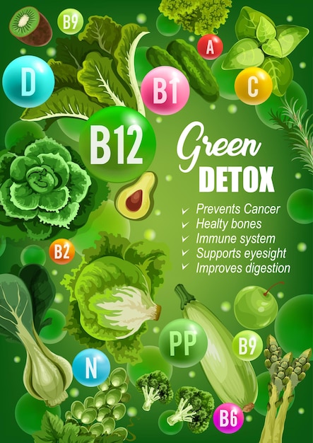 Vector nutrición de alimentos de vitaminas de desintoxicación de dieta verde