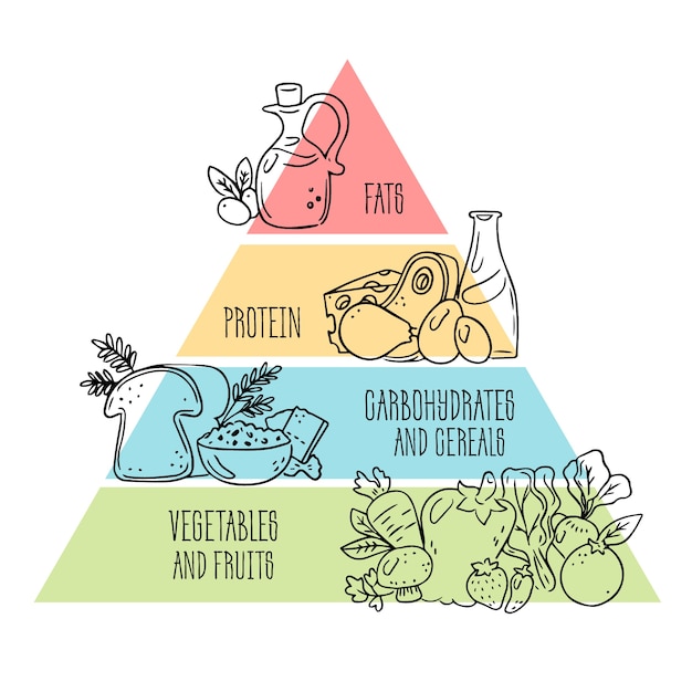 Vector nutrición de diseño de pirámide alimenticia