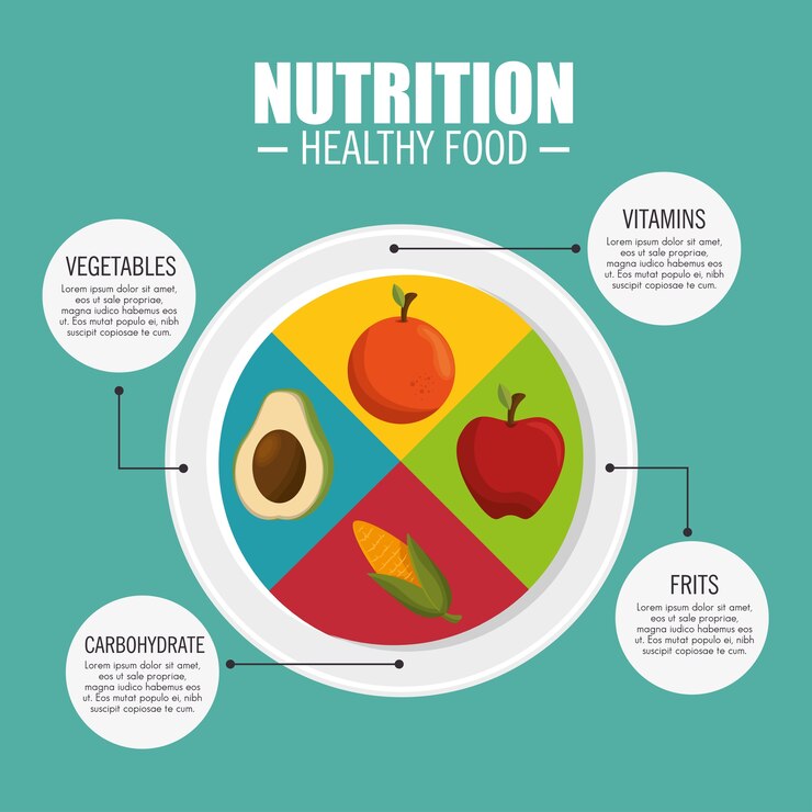 Vector nutrición infografía de alimentos saludables