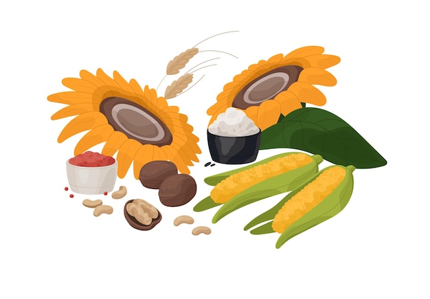 Nutrición vegetariana Composición saludable de los alimentos de la granja Verduras frescas semillas de maíz, nueces de girasol nutrientes orgánicos alimentación natural dieta saludable Ilustración de vector aislado plano en blanco