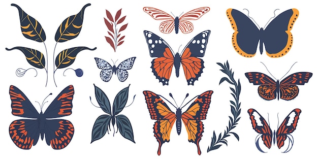 Oasis tropical Colección de vectores exóticos de mariposas multicolores