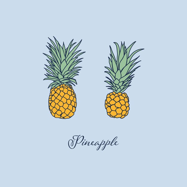 Objeto aislado de piña tropical Diseño de elementos vectoriales Elemento dibujado a mano