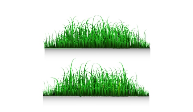 objeto de hierba verde premium vektor