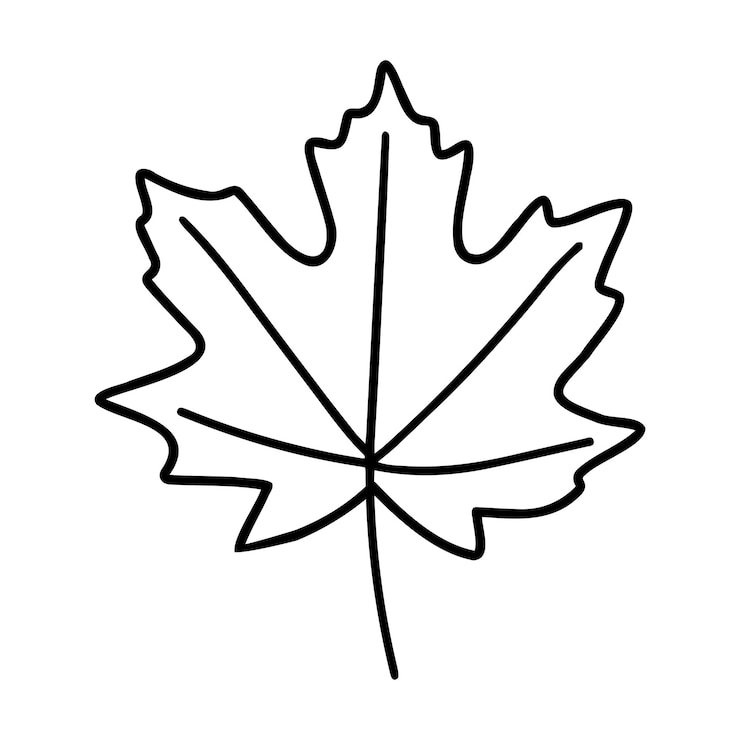Vector objeto vectorial de otoño de hoja de arce