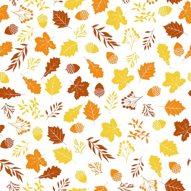 Objetos de otoño sin costura colección dibujada a mano aislada sobre fondo blanco