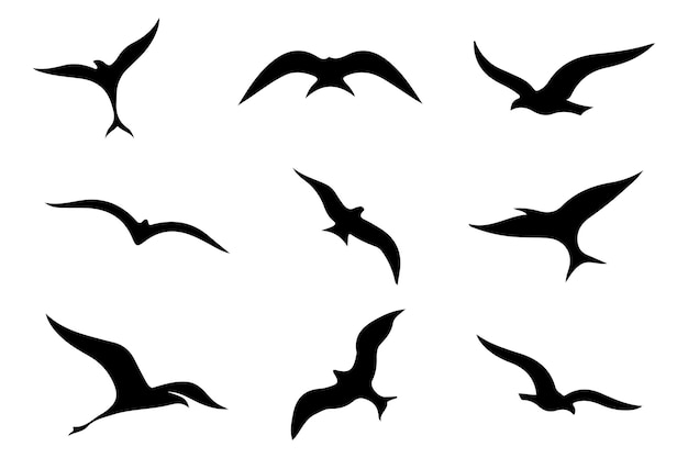 Obras de arte vectorial de siluetas de aves