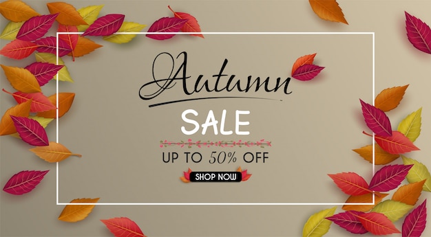 Oferta especial diseño de banner de venta de otoño. con coloridas hojas de otoño estacionales.