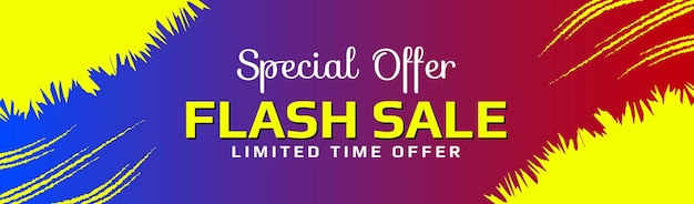 Oferta especial de venta flash oferta de tiempo limitado para publicidad o campaña de compras