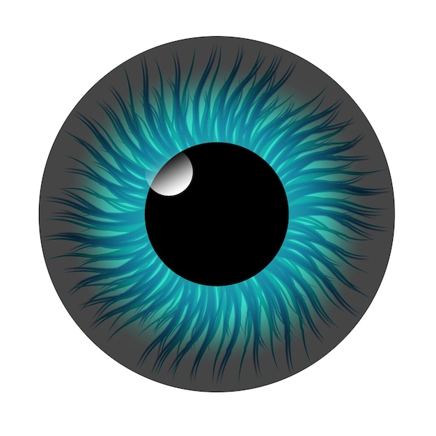 Ojo de moda vectorial aislado en el elemento de diseño de fondo blanco
