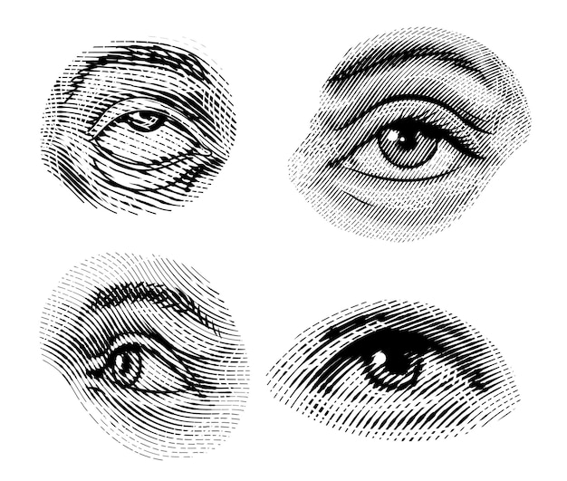 Vector los ojos humanos miran hacia otro lado en un estilo vintage mirada femenina y cejas sistema visual componentes de órganos sensoriales ejercicio saludable dibujo grabado a mano fisiología o anatomía del tema