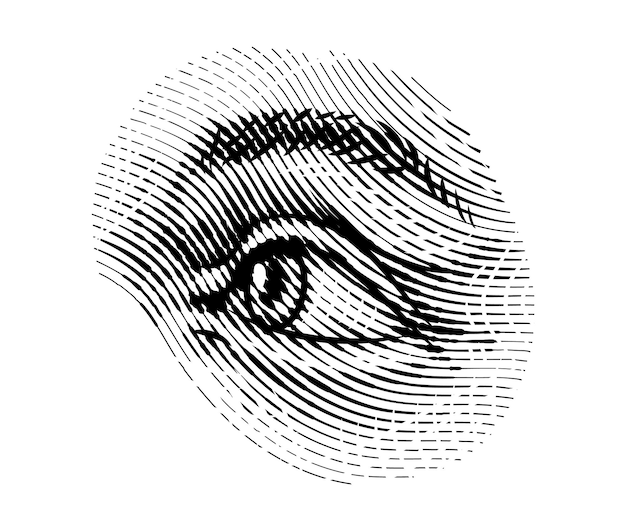 Los ojos humanos miran hacia otro lado en estilo vintage Mirada femenina y cejas Sistema visual Componentes de órganos sensoriales Ejercicio saludable Dibujo grabado a mano fisiología o anatomía del tema