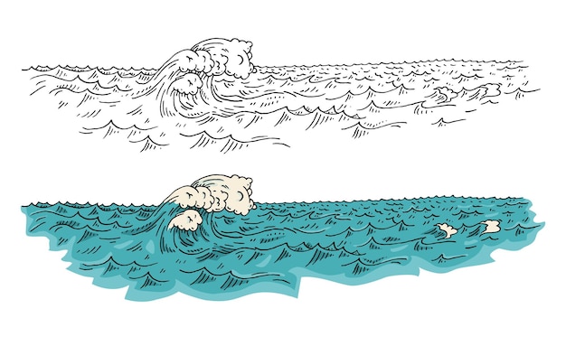 Vector olas del mar ilustración de color de grabado vectorial vintage aisladas sobre fondo blanco eclosión dibujada a mano