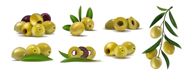Olivas realistas Hojas y ramas verdes con bayas aceite de comida 3D italiana en planta de árbol en Italia Dieta con verduras griegas planta orgánica Ingrediente de cocina Vector conjunto aislado griego