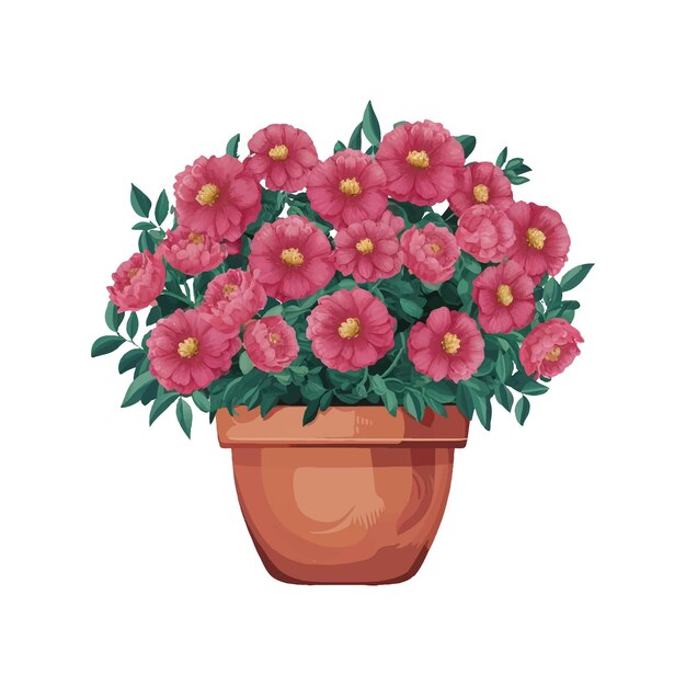 Una olla de flores con fondo blanco