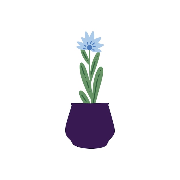 olla con hermosas flores en una planta de olla negra