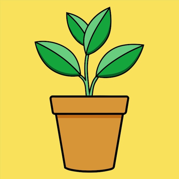 una olla con una planta en ella que tiene hojas verdes en ella