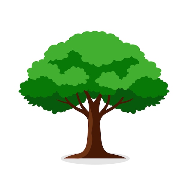 El olmo resbaladizo El árbol Ulmus rubra Ilustración vectorial plana de la naturaleza sobre fondo blanco