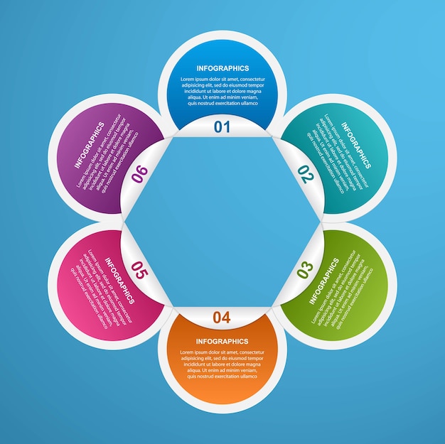 Vector opciones infografía plantilla infografía