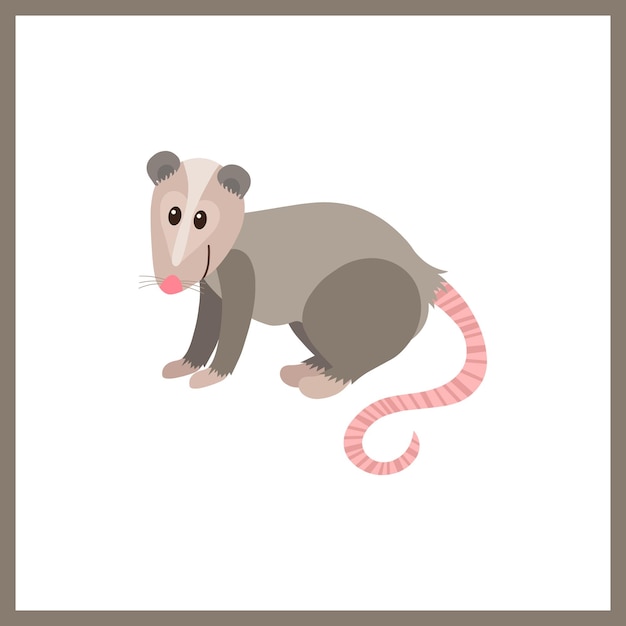 Vector las opossums