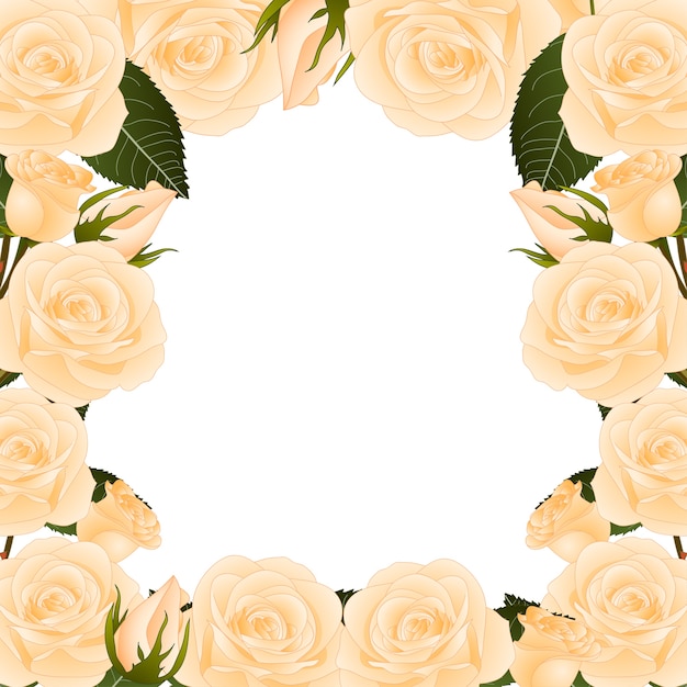 Orange Rose Border
