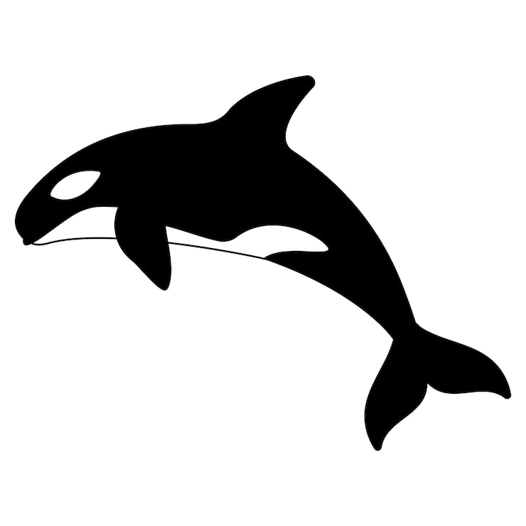 Vector orca orcinus orca whale killer en icono de estilo de dibujos animados