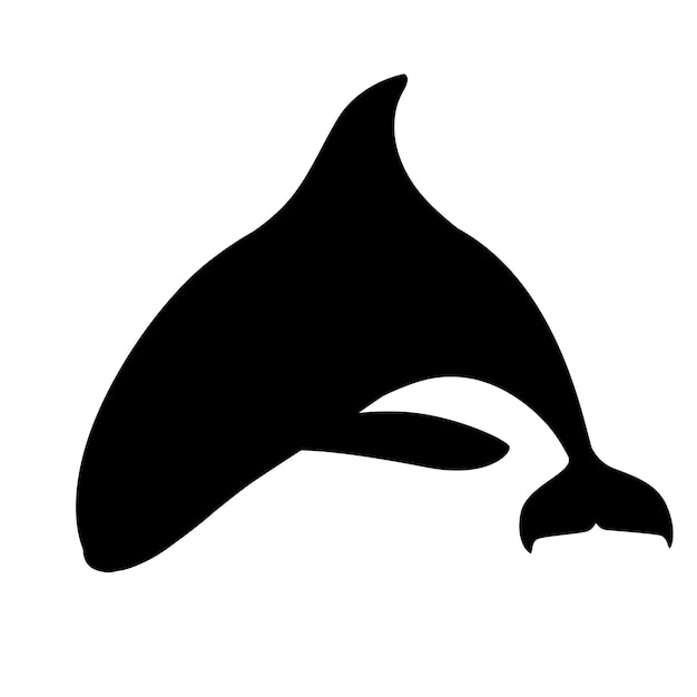 Orca de silueta negra (orcinus orca) diseño animal de dibujos animados ilustración de vector plano de orca de mamífero marino aislado sobre fondo blanco.