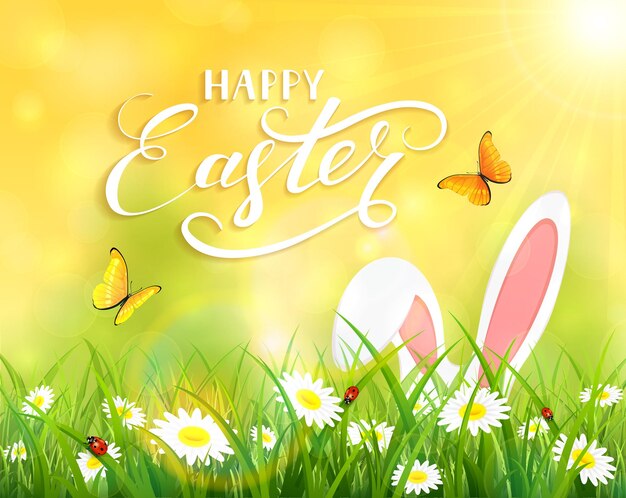 Orejas de un conejito de Pascua y mariposas volando sobre la hierba y las flores fondo amarillo de la naturaleza con rayos de sol y letras Feliz ilustración de Pascua