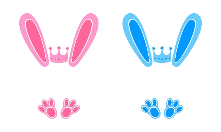 Vector orejas y pies de conejo azul y rosa con coronas elementos de diseño para camiseta de niño o niña baby shower