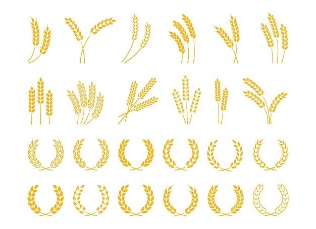 Orejas de trigo y cebada Coronas de trigo con granos amarillos maduros arroz y avena tallo de centeno granos de oreja siluetas de cereales alimentos orgánicos cerveza y pan logotipo vectorial cultivo de plantas doradas conjunto aislado