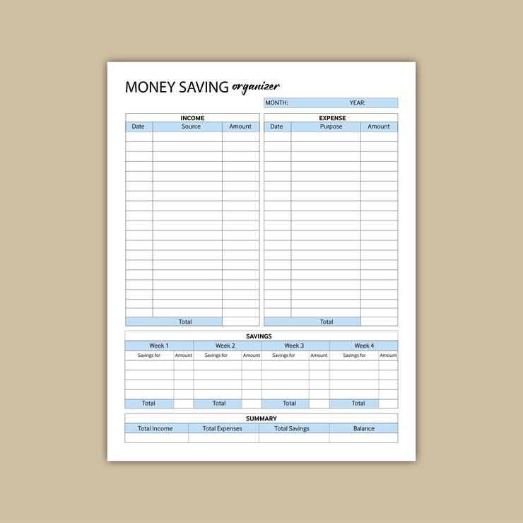 Vector organizador de ahorro de dinero