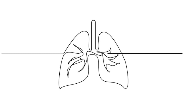 Órgano humano Pulmones un dibujo de línea continua aislado en fondo blanco