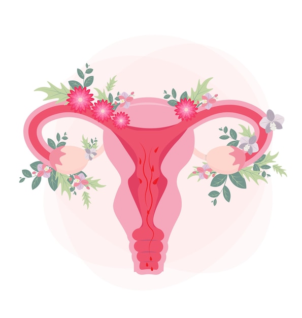Órgano del útero con flores, naturaleza femenina. El concepto de feminismo. Un hermoso órgano reproductor.
