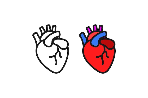 órganos internos del corazón icono línea y plano