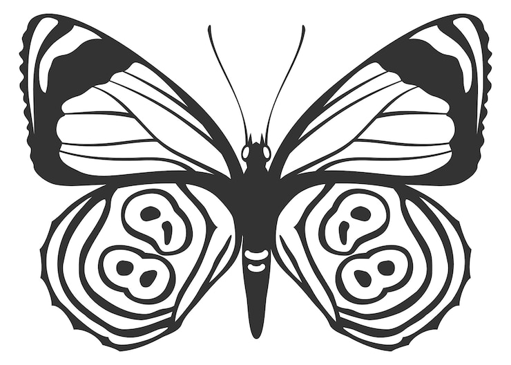 Vector ornamentada silueta de mariposa dibujado con líneas negras