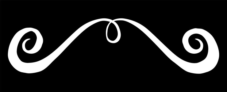 Vector ornamento de tinta divisor pintado a mano aislado sobre fondo blanco