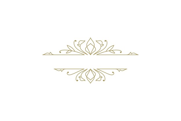 Ornamento vintage giratorio divisor de texto filigrana ilustración vectorial caligráfica