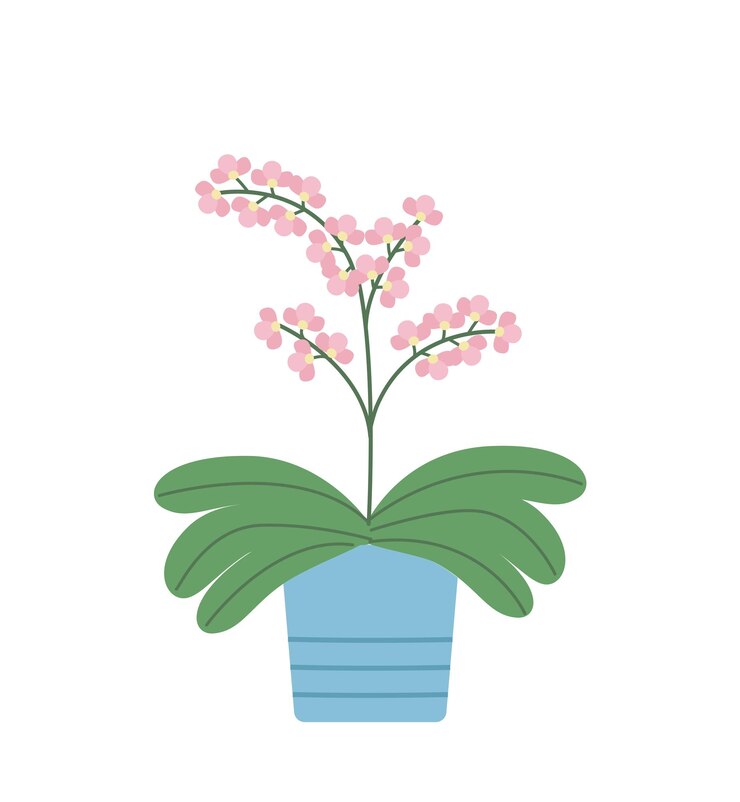 Vector orquídea en flor en una olla ilustración vectorial de un icono de garabateo de flores tropicales