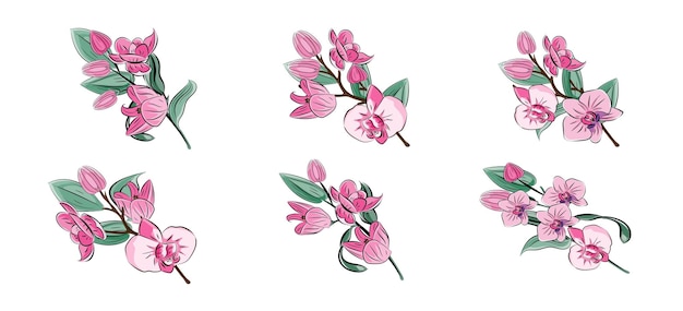 Vector orquídea una ramita con flores rosas y capullos pintura de tinta tradicional japonesa al estilo oriental