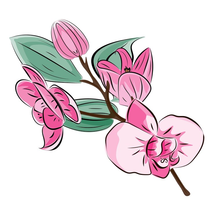 Vector orquídea una ramita con flores rosas y capullos pintura de tinta tradicional japonesa al estilo oriental